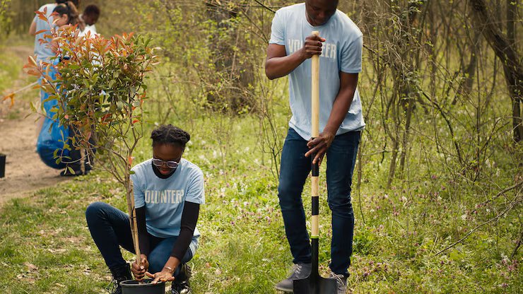Tree Planting Initiative